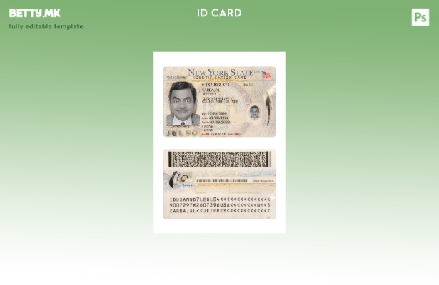 Модерен стил шаблон за сегашна лична карта на САД Њујорк